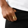 dx1569710 gioiello Anello con fascia in acciaio inossidabile color oro dx1569710 gioiello Anello con fascia in acciaio inossidabile color oro